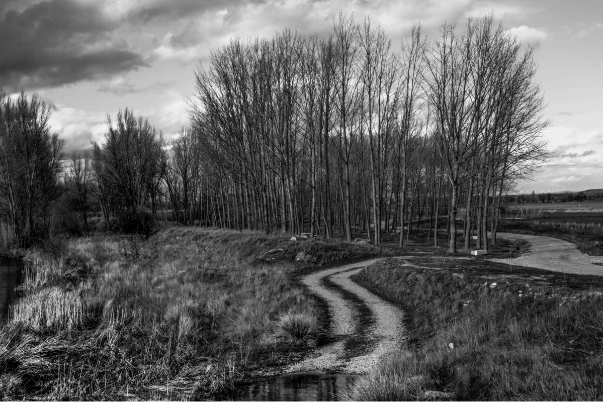 Castilla en blanco y negro